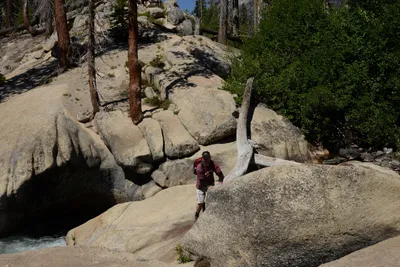 DSC_3815 (Large).JPG